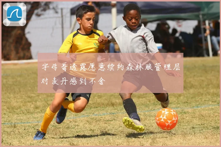 字母哥透露愿意续约森林狼管理层对麦丹感到不舍