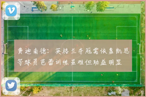 费迪南德：英格兰夺冠需依靠凯恩等球员芭蕾训练虽难但助益明显